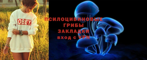 сатива Михайловка