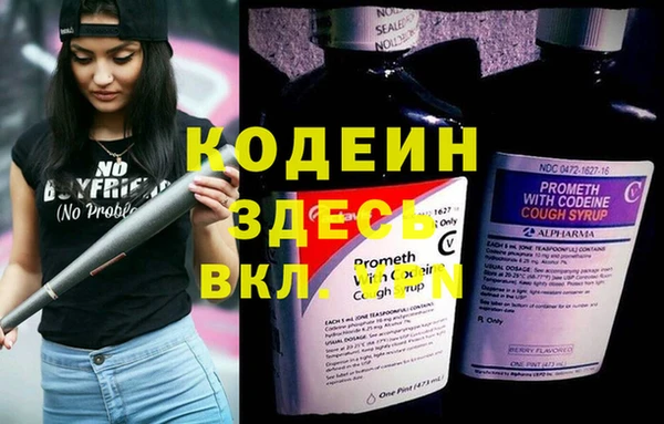ПСИЛОЦИБИНОВЫЕ ГРИБЫ Вязьма