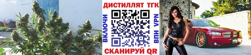 Дистиллят ТГК вейп с тгк  Кедровый 
