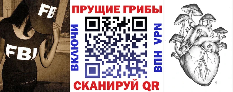Галлюциногенные грибы Magic Shrooms  где купить наркотик  Кедровый 